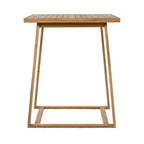 Christopher Knight Home Gaye Ensemble de bar extérieur 5 pièces en rotin et bois d'acacia