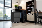 2 Drawer File Cabinet w/Lock,Metal Under Desk Rolling Filing Cabinet